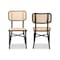 Baxton Studio Katina MidCentury Dark Brown Finished Metal and Synthetic Rattan Outdoor Dining Chair Set2PC, PR 211-2PC-11969-ZORO - alternate 8